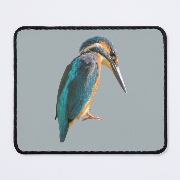 Item preview, Unique Kingfisher designed and sold by RainbowSpinkle.