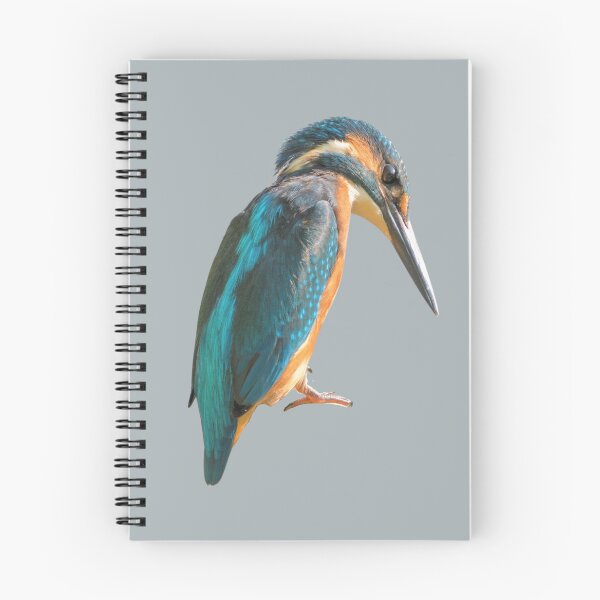 Item preview, Unique Kingfisher designed and sold by RainbowSpinkle.
