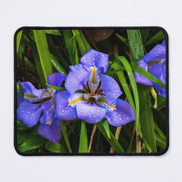 Item preview, Purple Iris Confab designed and sold by FigTreeMagick.