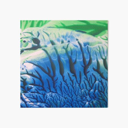 Undersea Coral Art Board Print