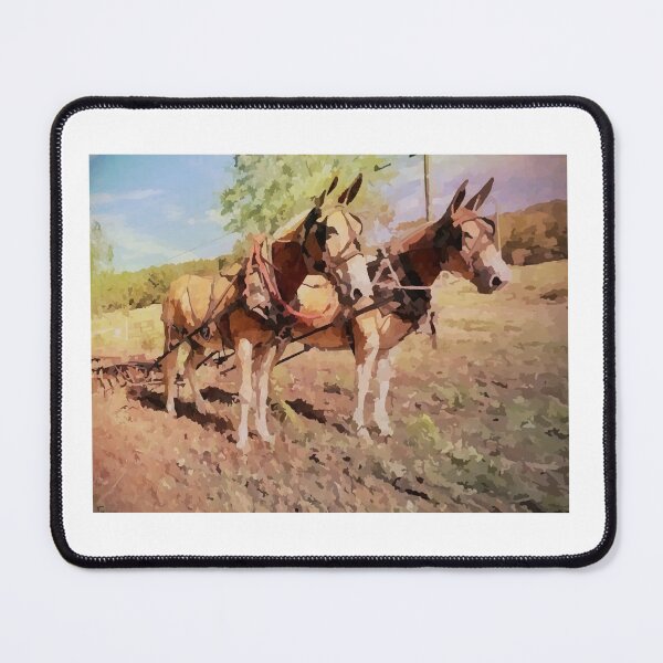 Item preview, Mule team designed and sold by Golden Goat King.