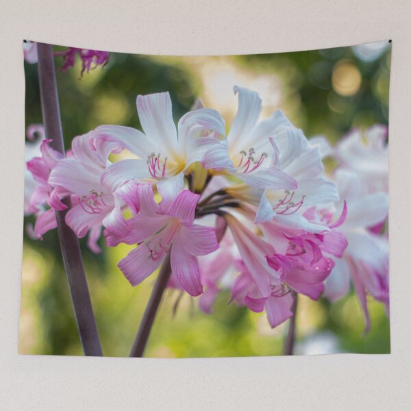 Item preview, Amaryllis Belladonna designed and sold by FigTreeMagick.