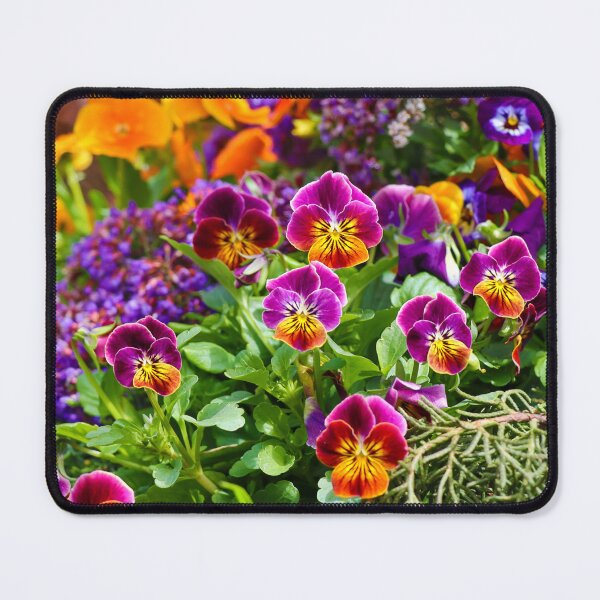 Item preview, Vibrant Pansy Flower Jubilation designed and sold by FigTreeMagick.