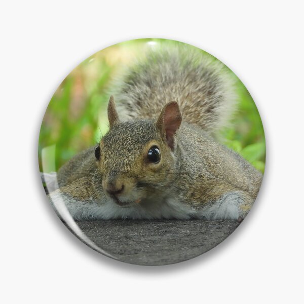 Item preview, Cute Squirrel #105 designed and sold by Jeffrey Mask.