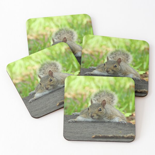 Item preview, Cute Squirrel #105 designed and sold by Jeffrey Mask.