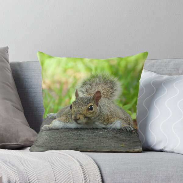 Item preview, Cute Squirrel #105 designed and sold by Jeffrey Mask.