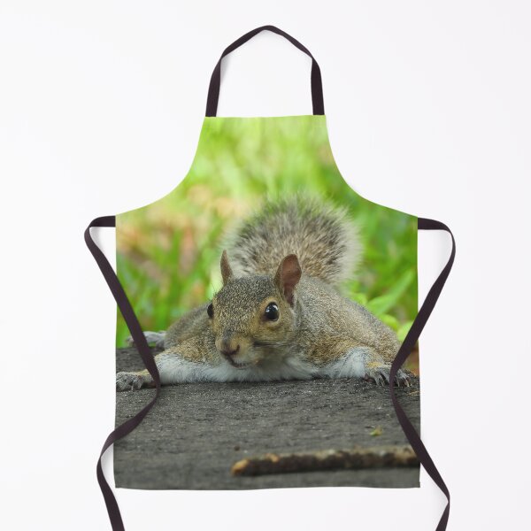 Item preview, Cute Squirrel #105 designed and sold by Jeffrey Mask.
