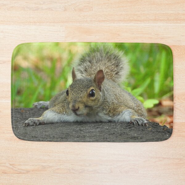 Item preview, Cute Squirrel #105 designed and sold by Jeffrey Mask.