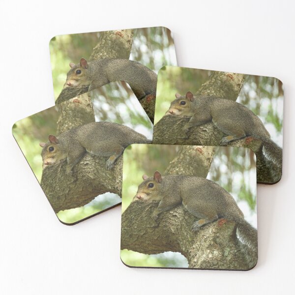 Item preview, Cute Squirrel #106 designed and sold by Jeffrey Mask.