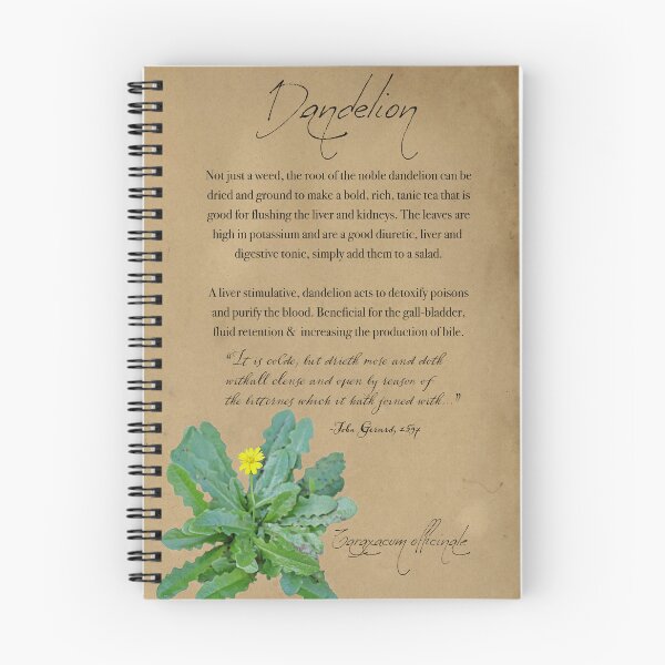 Item preview, Herbal Apothecary: Dandelion designed and sold by FigTreeMagick.