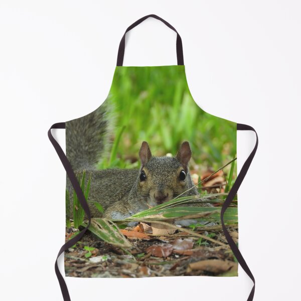 Item preview, Cute Squirrel #107 designed and sold by Jeffrey Mask.