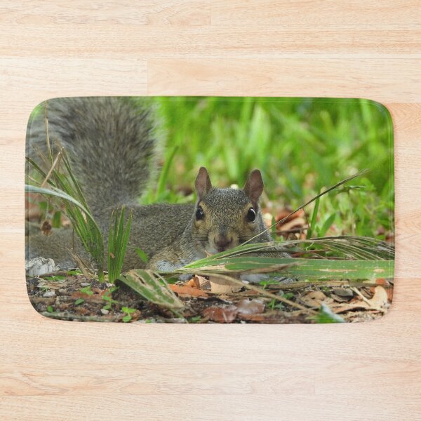 Item preview, Cute Squirrel #107 designed and sold by Jeffrey Mask.