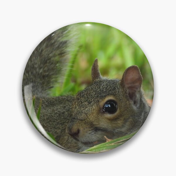 Item preview, Cute Squirrel #108 designed and sold by Jeffrey Mask.
