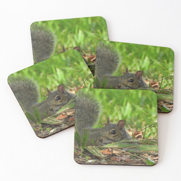 Item preview, Cute Squirrel #108 designed and sold by Jeffrey Mask.