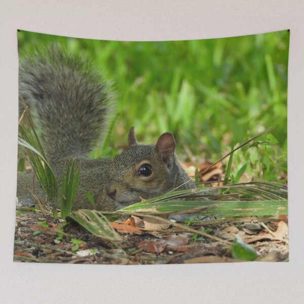 Item preview, Cute Squirrel #108 designed and sold by Jeffrey Mask.