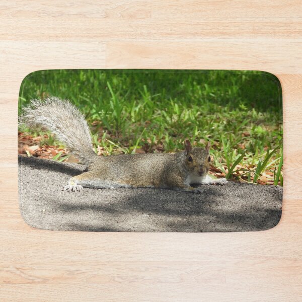 Item preview, Cute Squirrel #109 designed and sold by Jeffrey Mask.