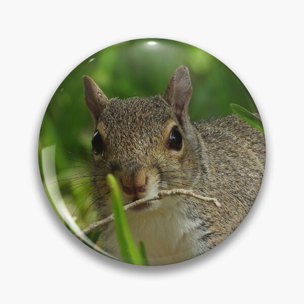 Item preview, Cute Squirrel #110 designed and sold by Jeffrey Mask.