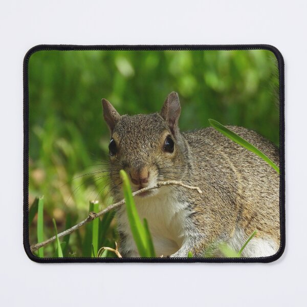 Item preview, Cute Squirrel #110 designed and sold by Jeffrey Mask.