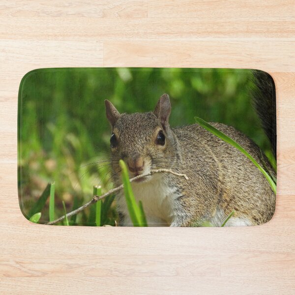Item preview, Cute Squirrel #110 designed and sold by Jeffrey Mask.