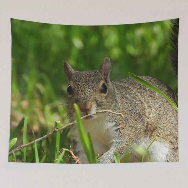 Item preview, Cute Squirrel #110 designed and sold by Jeffrey Mask.