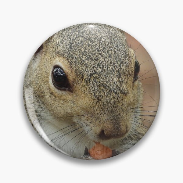 Item preview, Cute Squirrel #111 designed and sold by Jeffrey Mask.