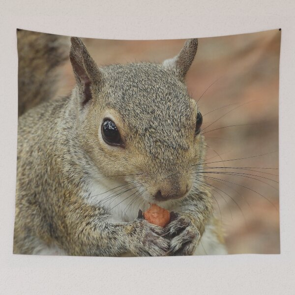Item preview, Cute Squirrel #111 designed and sold by Jeffrey Mask.