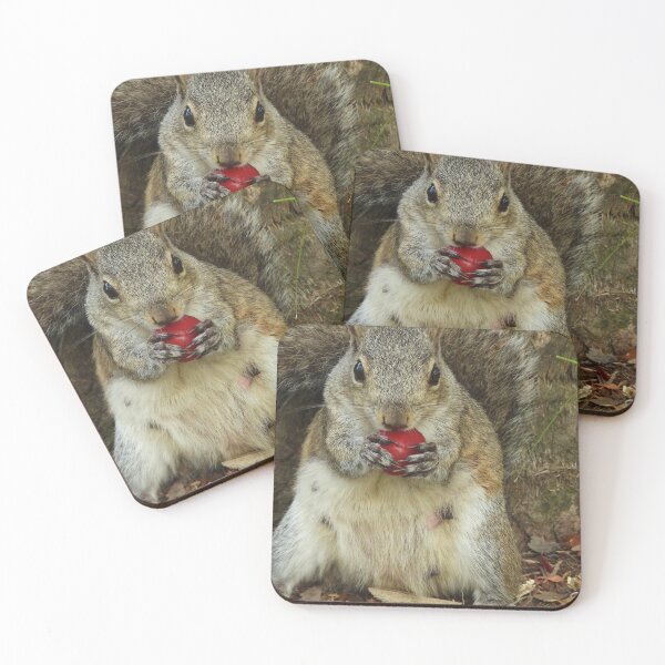 Item preview, Cute Squirrel #112 designed and sold by Jeffrey Mask.
