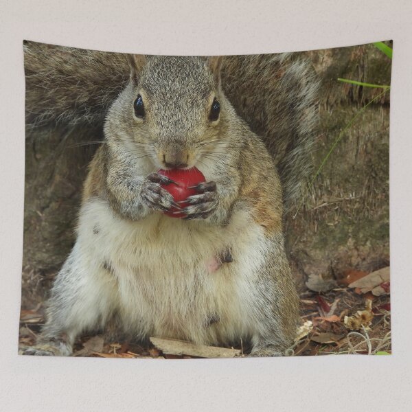 Item preview, Cute Squirrel #112 designed and sold by Jeffrey Mask.