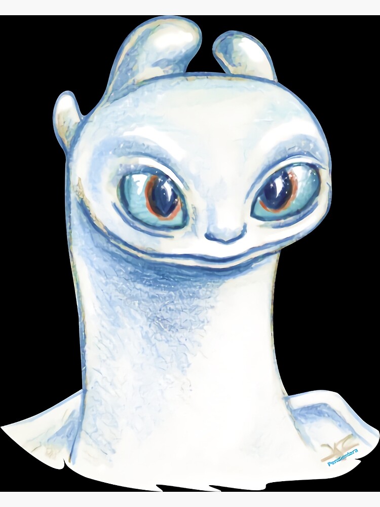 "How To Train Your Dragon, Light Fury/Gifts Fans" Poster for Sale by DonnaDoylew Redbubble