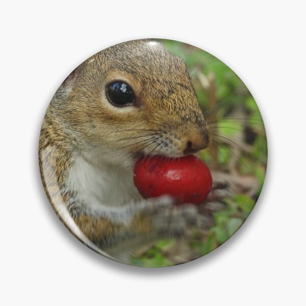Item preview, Cute Squirrel #113 designed and sold by Jeffrey Mask.