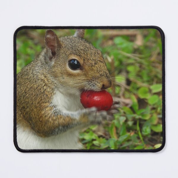 Item preview, Cute Squirrel #113 designed and sold by Jeffrey Mask.