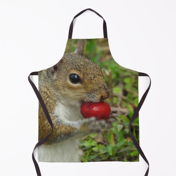 Item preview, Cute Squirrel #113 designed and sold by Jeffrey Mask.