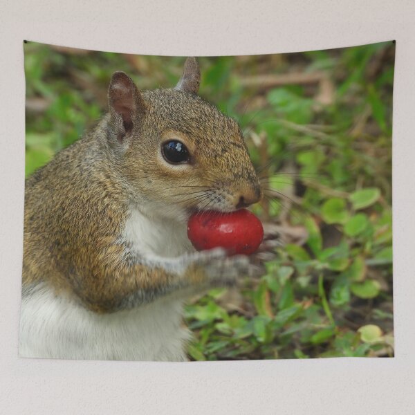 Item preview, Cute Squirrel #113 designed and sold by Jeffrey Mask.