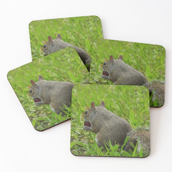 Item preview, Cute Squirrel #115 designed and sold by Jeffrey Mask.