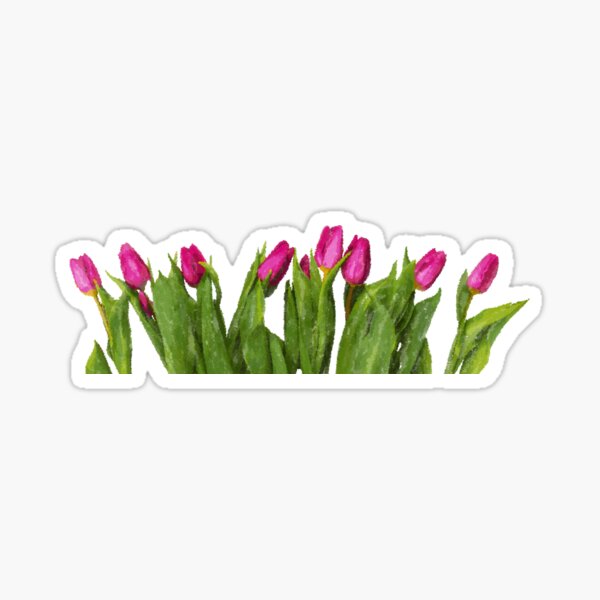 Tulip Sticker