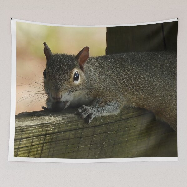 Item preview, Cute Squirrel #116 designed and sold by Jeffrey Mask.
