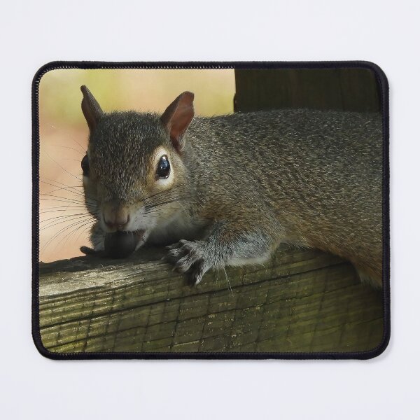 Item preview, Cute Squirrel #116 designed and sold by Jeffrey Mask.