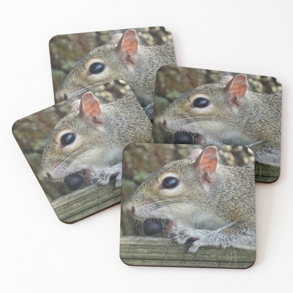 Item preview, Cute Squirrel #117 designed and sold by Jeffrey Mask.