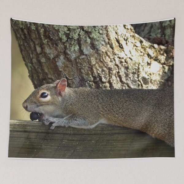 Item preview, Cute Squirrel #118 designed and sold by Jeffrey Mask.
