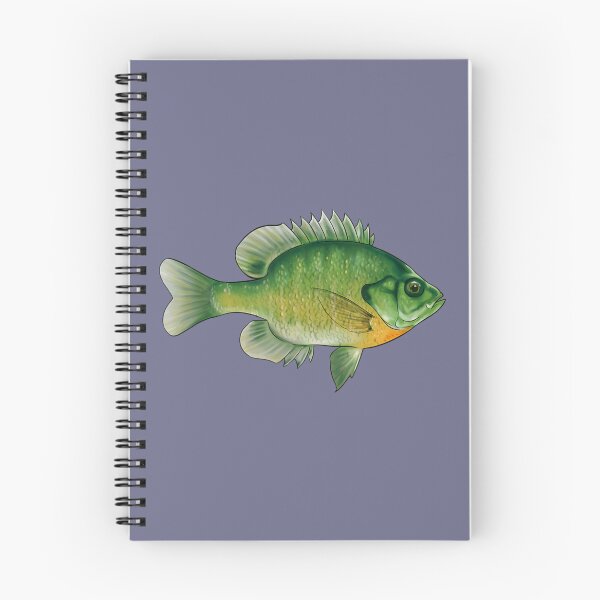 Item preview, Bluegill Fishing Illustration Bream Freshwater Fish designed and sold by WenniXin.
