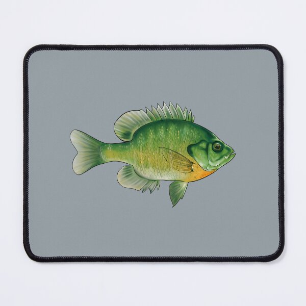 Item preview, Bluegill Fishing Illustration Bream Freshwater Fish designed and sold by WenniXin.