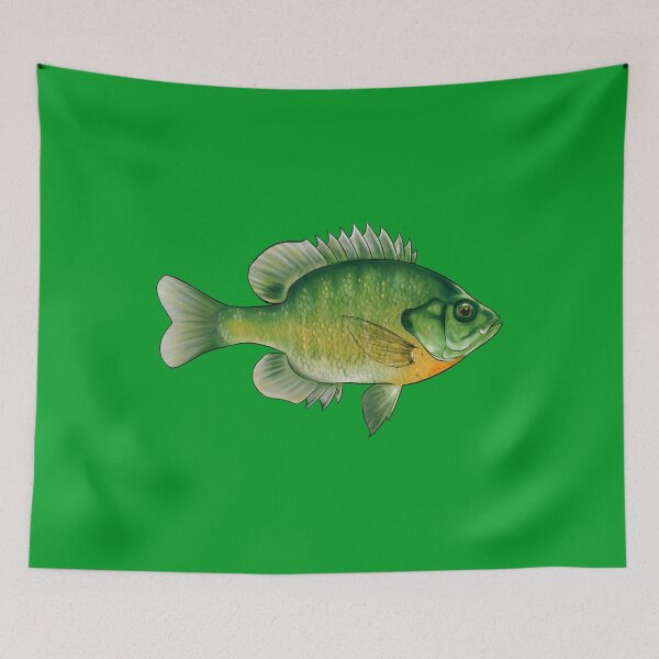 Item preview, Bluegill Fishing Illustration Bream Freshwater Fish designed and sold by WenniXin.