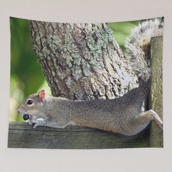 Item preview, Cute Squirrel #119 designed and sold by Jeffrey Mask.