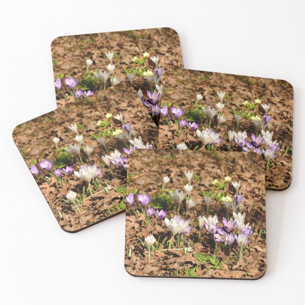 Item preview, Woodland Crocuses in North East Italy designed and sold by jojobob.