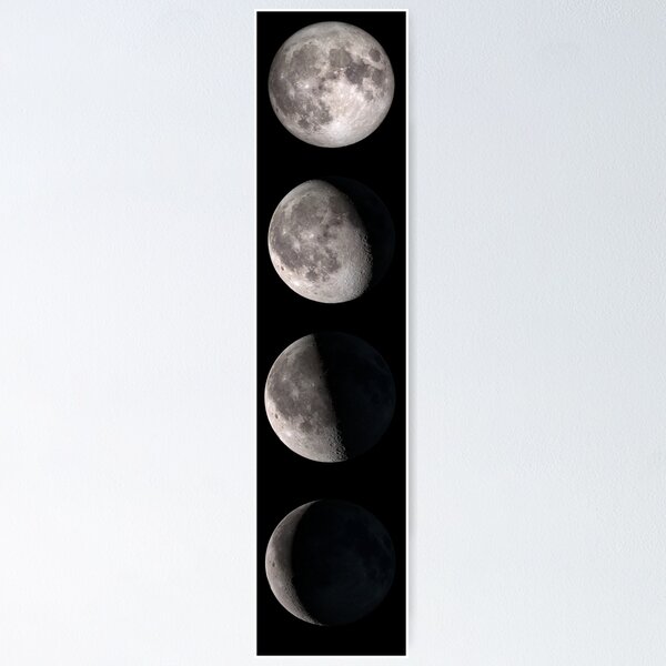 Item preview, Phases of the Moon - Giant Print of the Lunar Phases designed and sold by Very Peculiar.
