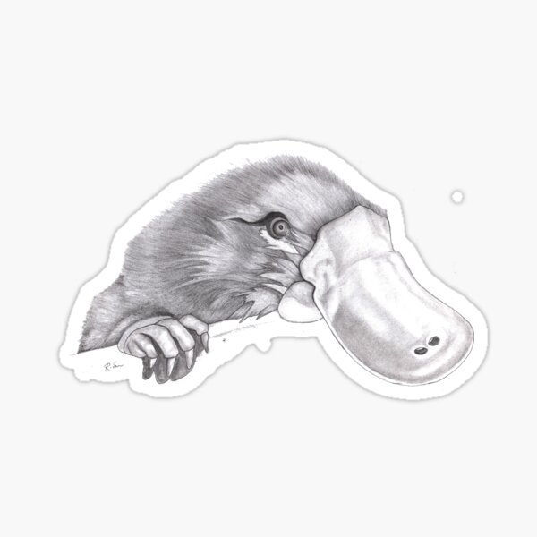 Platypus Sticker