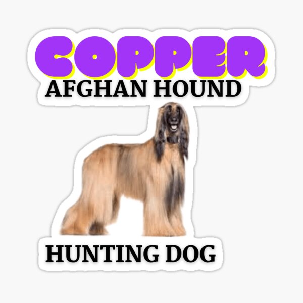 afghan-hound-hunting-dog-copper-dog-names-sticker-for-sale-by