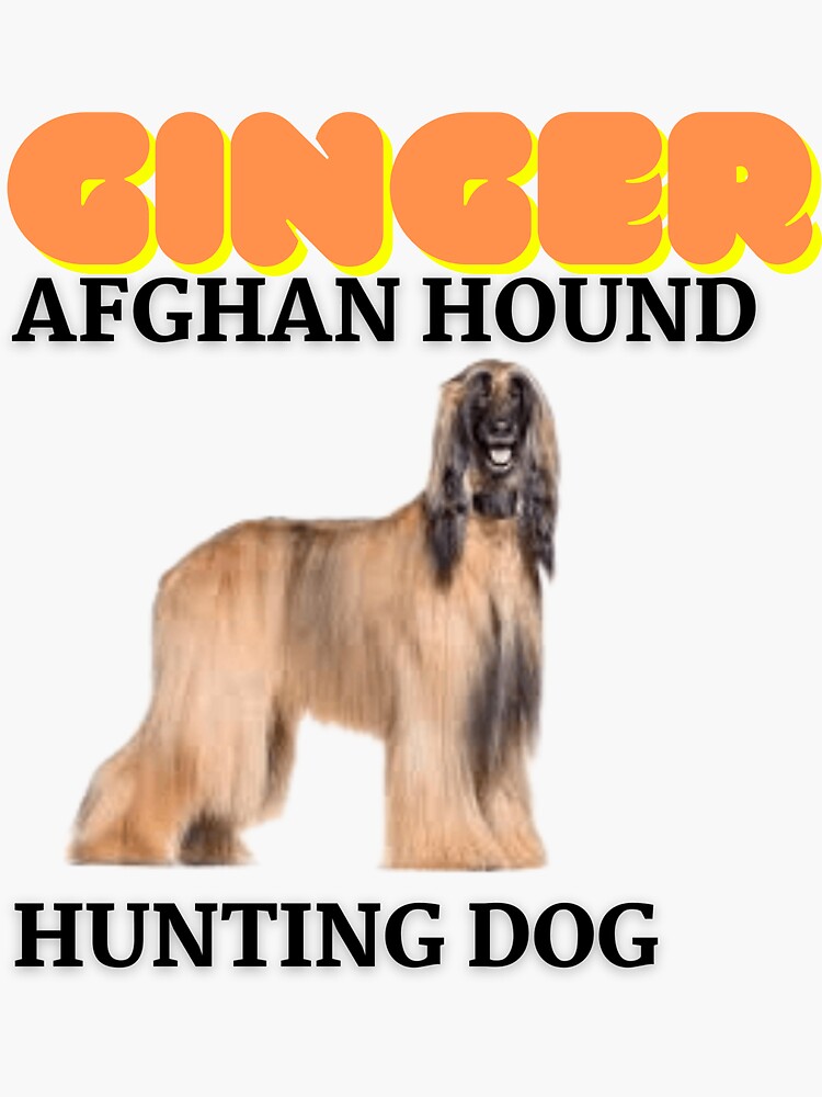 "Afghan Hound, Hunting Dog, Ginger, Dog Names" Sticker for Sale by