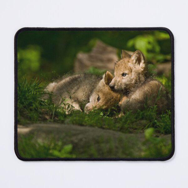 Item preview, Timber Wolf Pups designed and sold by Michael Cummings.