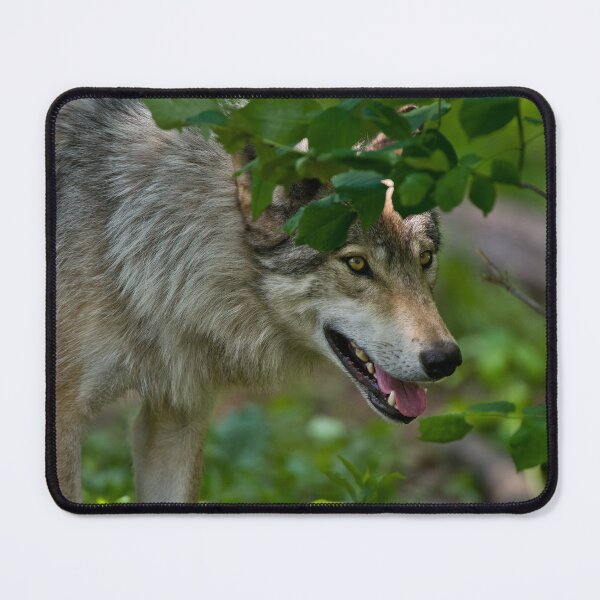 Item preview, Gray Wolf designed and sold by Michael Cummings.